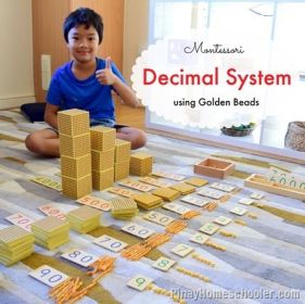 montessori decimal system